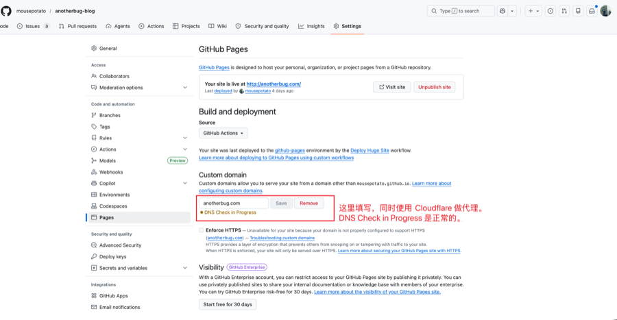 GitHub Pages custom domain settings screenshot