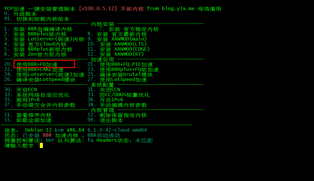 【手把手搭梯子教程】VPS搭建vless+reality+vision节点,并开启BBR加速 配图 13
